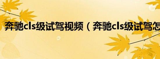 奔驰cls级试驾视频（奔驰cls级试驾怎么样）
