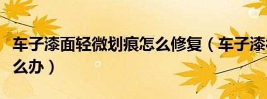 车子漆面轻微划痕怎么修复（车子漆被刮了怎么办）