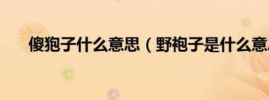 傻狍子什么意思（野袍子是什么意思）