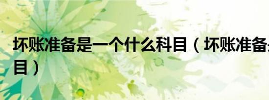 坏账准备是一个什么科目（坏账准备是什么科目）