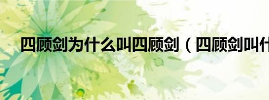 四顾剑为什么叫四顾剑（四顾剑叫什么）