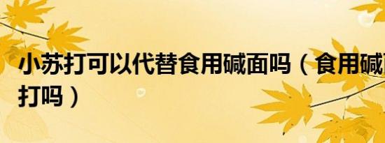 小苏打可以代替食用碱面吗（食用碱面是小苏打吗）