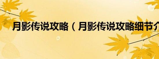 月影传说攻略（月影传说攻略细节介绍）