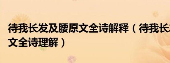待我长发及腰原文全诗解释（待我长发及腰原文全诗理解）