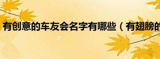 有创意的车友会名字有哪些（有翅膀的车标）