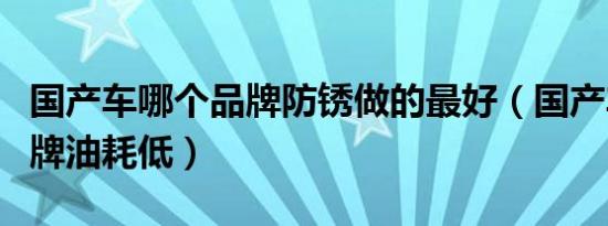 国产车哪个品牌防锈做的最好（国产车哪个品牌油耗低）