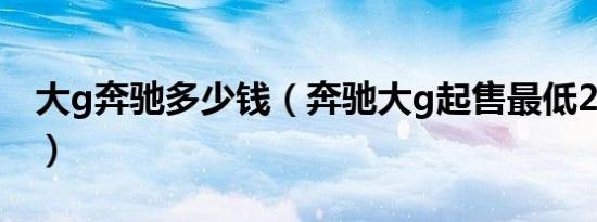 大g奔驰多少钱（奔驰大g起售最低222.88万）