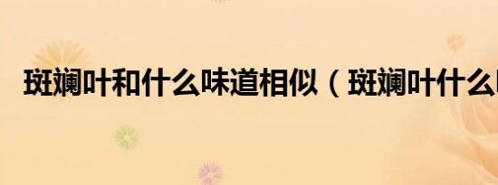 斑斓叶和什么味道相似（斑斓叶什么味道）