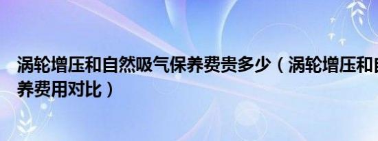涡轮增压和自然吸气保养费贵多少（涡轮增压和自然吸气保养费用对比）