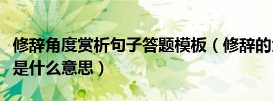 修辞角度赏析句子答题模板（修辞的角度赏析是什么意思）