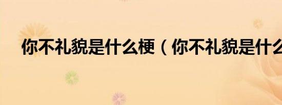 你不礼貌是什么梗（你不礼貌是什么梗）