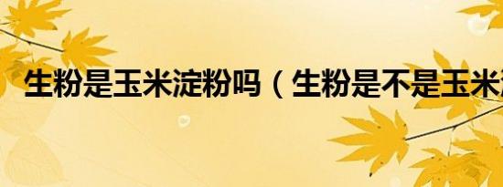 生粉是玉米淀粉吗（生粉是不是玉米淀粉）