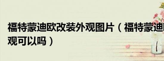 福特蒙迪欧改装外观图片（福特蒙迪欧改装外观可以吗）