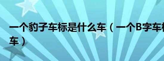 一个豹子车标是什么车（一个B字车标是什么车）