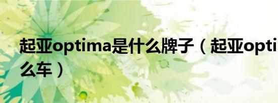 起亚optima是什么牌子（起亚optima是什么车）