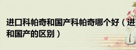 进口科帕奇和国产科帕奇哪个好（进口科帕奇和国产的区别）