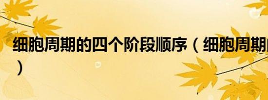 细胞周期的四个阶段顺序（细胞周期的顺序是）