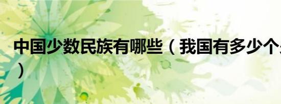 中国少数民族有哪些（我国有多少个少数民族）