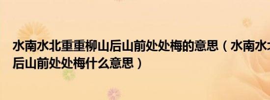 水南水北重重柳山后山前处处梅的意思（水南水北重重柳山后山前处处梅什么意思）