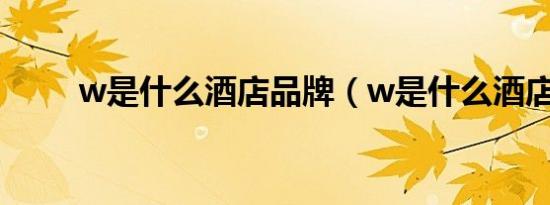 w是什么酒店品牌（w是什么酒店）