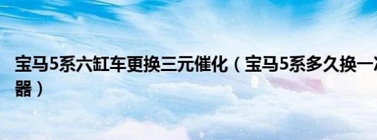 宝马5系六缸车更换三元催化（宝马5系多久换一次三元催化器）