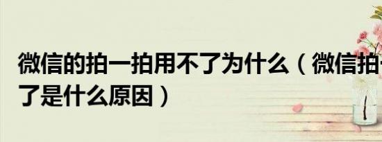 微信的拍一拍用不了为什么（微信拍一拍用不了是什么原因）