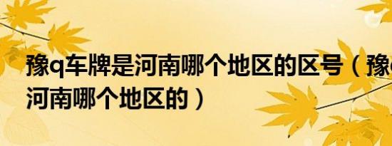 豫q车牌是河南哪个地区的区号（豫q车牌是河南哪个地区的）