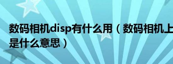 数码相机disp有什么用（数码相机上的 disp 是什么意思）