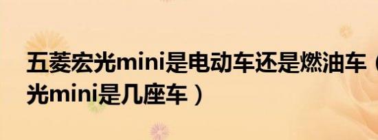 五菱宏光mini是电动车还是燃油车（五菱宏光mini是几座车）