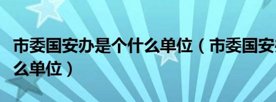 市委国安办是个什么单位（市委国安办是个什么单位）
