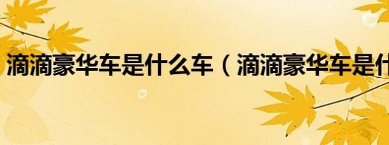 滴滴豪华车是什么车（滴滴豪华车是什么车）