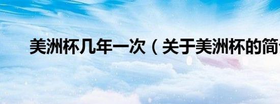美洲杯几年一次（关于美洲杯的简介）