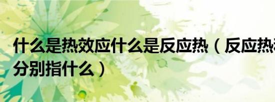 什么是热效应什么是反应热（反应热和热效应分别指什么）