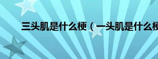 三头肌是什么梗（一头肌是什么梗）