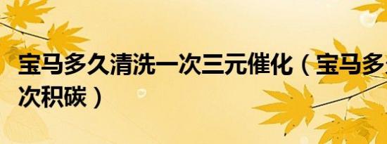 宝马多久清洗一次三元催化（宝马多久清洗一次积碳）