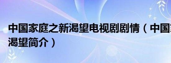 中国家庭之新渴望电视剧剧情（中国家庭之新渴望简介）