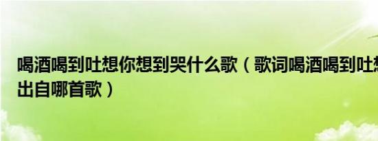 喝酒喝到吐想你想到哭什么歌（歌词喝酒喝到吐想你想到哭出自哪首歌）