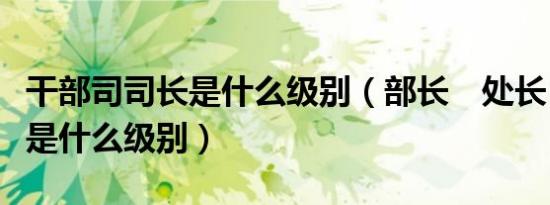 干部司司长是什么级别（部长　处长　司长都是什么级别）