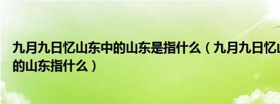 九月九日忆山东中的山东是指什么（九月九日忆山东兄弟中的山东指什么）