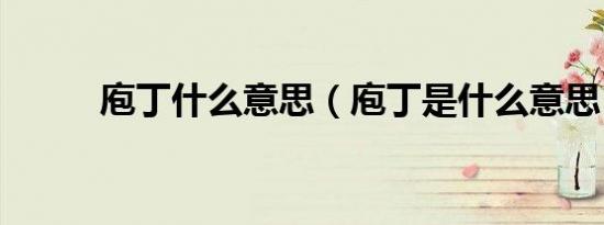 庖丁什么意思（庖丁是什么意思）