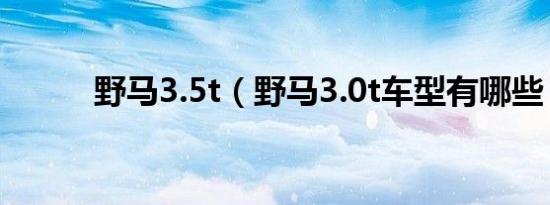 野马3.5t（野马3.0t车型有哪些）