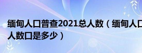 缅甸人口普查2021总人数（缅甸人口2021总人数口是多少）