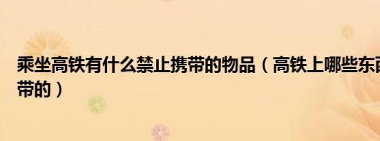 乘坐高铁有什么禁止携带的物品（高铁上哪些东西是禁止携带的）