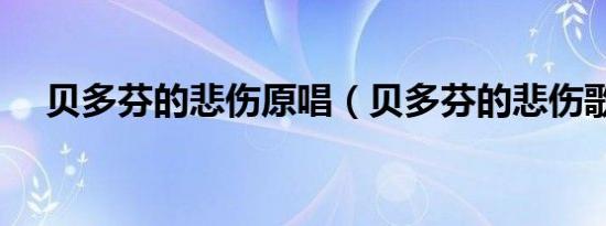 贝多芬的悲伤原唱（贝多芬的悲伤歌词）