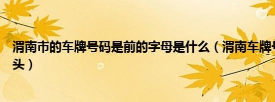 渭南市的车牌号码是前的字母是什么（渭南车牌号是什么开头）