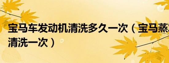 宝马车发动机清洗多久一次（宝马蒸发箱多久清洗一次）
