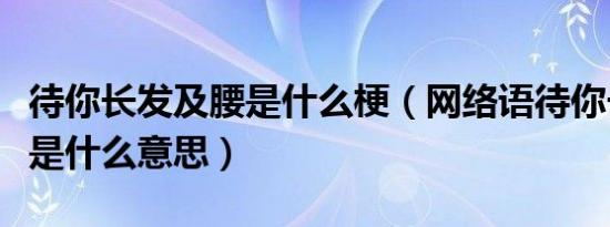 待你长发及腰是什么梗（网络语待你长发及腰是什么意思）