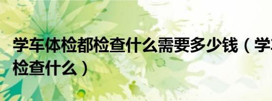 学车体检都检查什么需要多少钱（学车体检都检查什么）