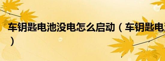 车钥匙电池没电怎么启动（车钥匙电池多久换）