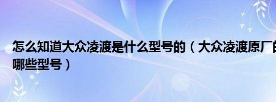 怎么知道大众凌渡是什么型号的（大众凌渡原厂的中控都有哪些型号）